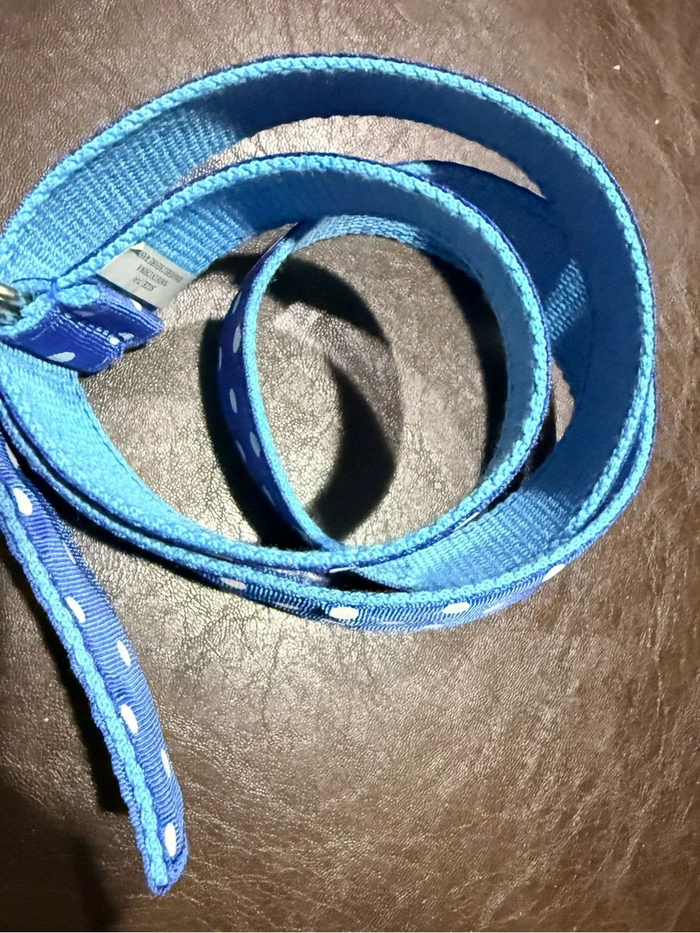 Blue Polka Dot Y2K Ribbon Belt Preppy Vintage OS